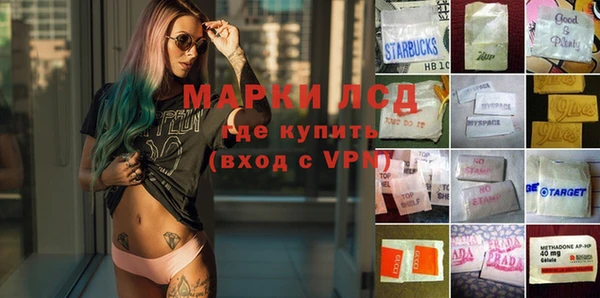 ГАЛЛЮЦИНОГЕННЫЕ ГРИБЫ Балахна